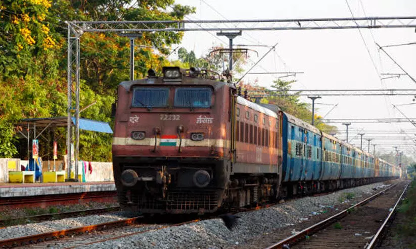 ട്രെയിനിടിച്ച് 17 പോത്തുകൾ ചത്തു; മൂന്നെണ്ണത്തെ സാഹസികമായി രക്ഷപ്പെടുത്തി