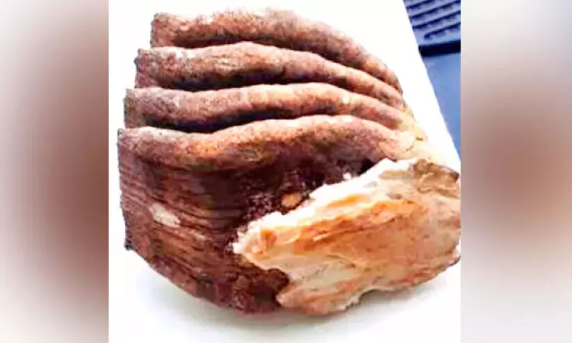 സഹപാഠിക്ക് ലിഫ്റ്റ് നൽകിയത് പൊല്ലാപ്പായി; കൈയിൽ ആനപ്പല്ല്; വിനോദസഞ്ചാര സംഘം പിടിയിൽ