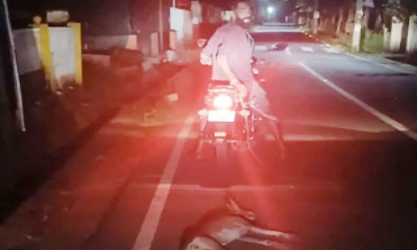 മിണ്ടാപ്രാണിയോട് കൊടും ക്രൂരത; നായെ ബൈക്കില് കെട്ടി റോഡിലൂടെ വലിച്ചിഴച്ചു മിണ്ടാപ്രാണിയോട് കൊടും ക്രൂരത; നായെ ബൈക്കില് കെട്ടി റോഡിലൂടെ വലിച്ചിഴച്ചു