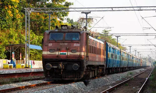 ട്രെയിനിടിച്ച് 17 പോത്തുകൾ ചത്തു; മൂന്നെണ്ണത്തെ സാഹസികമായി രക്ഷപ്പെടുത്തി