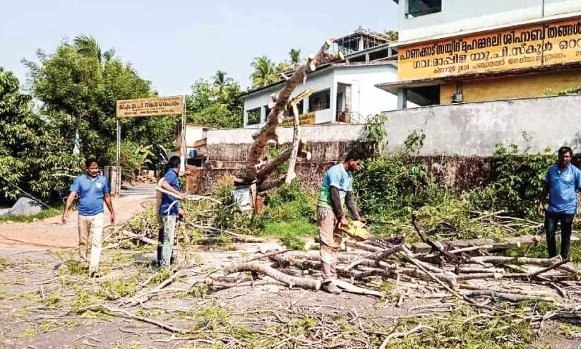 സം​സ്ഥാ​ന​പാ​ത​ക്ക് കു​റു​കെ മ​രം വീ​ണ് ഗ​താ​ഗ​തം മു​ട​ങ്ങി