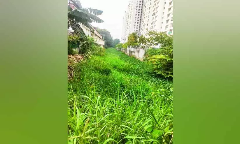 പോളപ്പായലും ചളിയും നിറഞ്ഞ് കടമ്പ്രയാർ; പാഴാക്കിയത് കോടികൾ