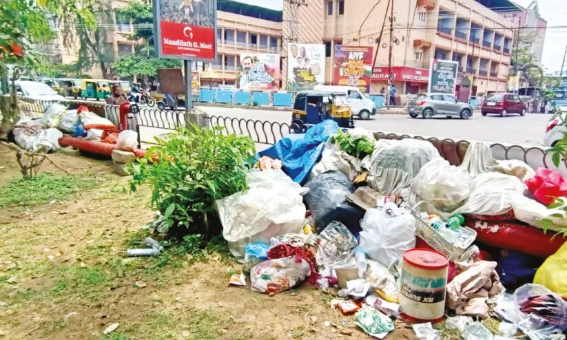 garbage dump garbage dump