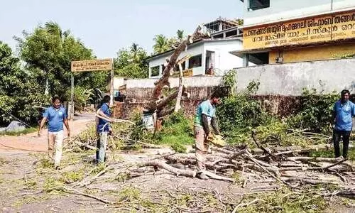 സം​സ്ഥാ​ന​പാ​ത​ക്ക് കു​റു​കെ മ​രം വീ​ണ് ഗ​താ​ഗ​തം മു​ട​ങ്ങി