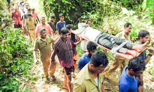 വെള്ളച്ചാട്ടം കാണാനെത്തിയ യുവാവ് താഴ്ചയിലേക്ക്​ വീണു