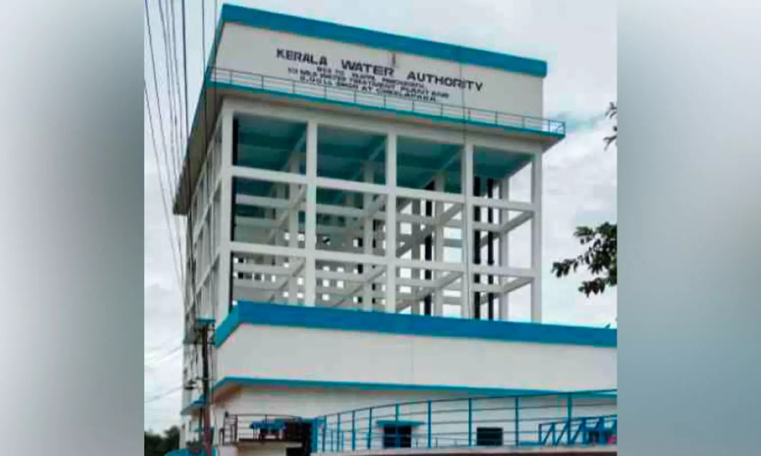cheelapara plant