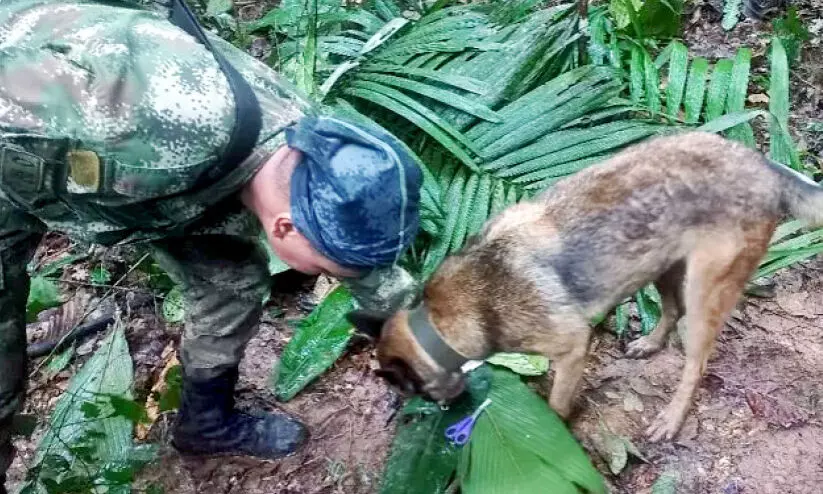 വിമാനം തകർന്ന് കൊടുംകാട്ടിൽ 17 നാൾ; കൊളംബിയ കാത്തിരുന്ന ആ മക്കൾ സുരക്ഷിതരാണ് വിമാനം തകർന്ന് കൊടുംകാട്ടിൽ 17 നാൾ; കൊളംബിയ കാത്തിരുന്ന ആ മക്കൾ സുരക്ഷിതരാണ്