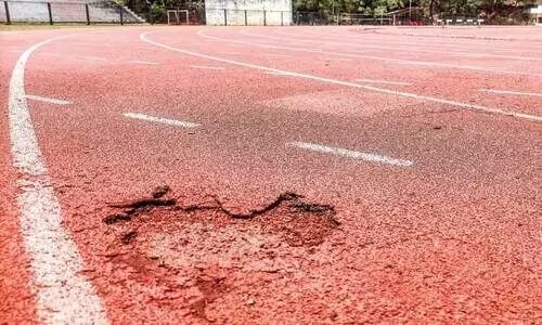 നി​ര​ന്ത​ര ഉ​പ​യോ​ഗം: സ​ര്‍വ​ക​ലാ​ശാ​ല സി​ന്ത​റ്റി​ക് ട്രാ​ക്കി​ന് കേ​ടു​പാ​ട്