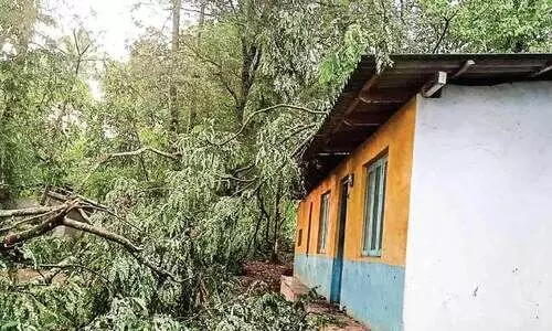 മഴയും ചുഴലിക്കാറ്റും; വ്യാപക നാശം മഴയും ചുഴലിക്കാറ്റും; വ്യാപക നാശം