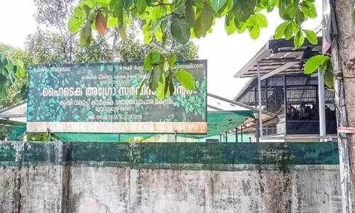 മൂവാറ്റുപുഴ അഗ്രോ സർവിസ് സെന്റർ നോക്കുകുത്തി