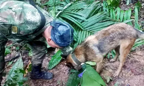 വിമാനം തകർന്ന് കൊടുംകാട്ടിൽ 17 നാൾ; ​കൊളംബിയ കാത്തിരുന്ന ആ മക്കൾ സുരക്ഷിതരാണ്