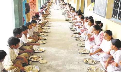 school mid-day meal