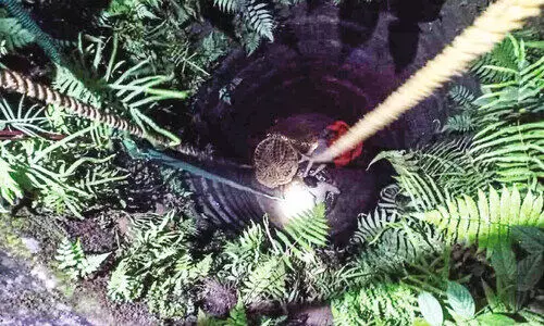 കിണറ്റിൽ വീണ വയോധികയെ രക്ഷപ്പെടുത്തി