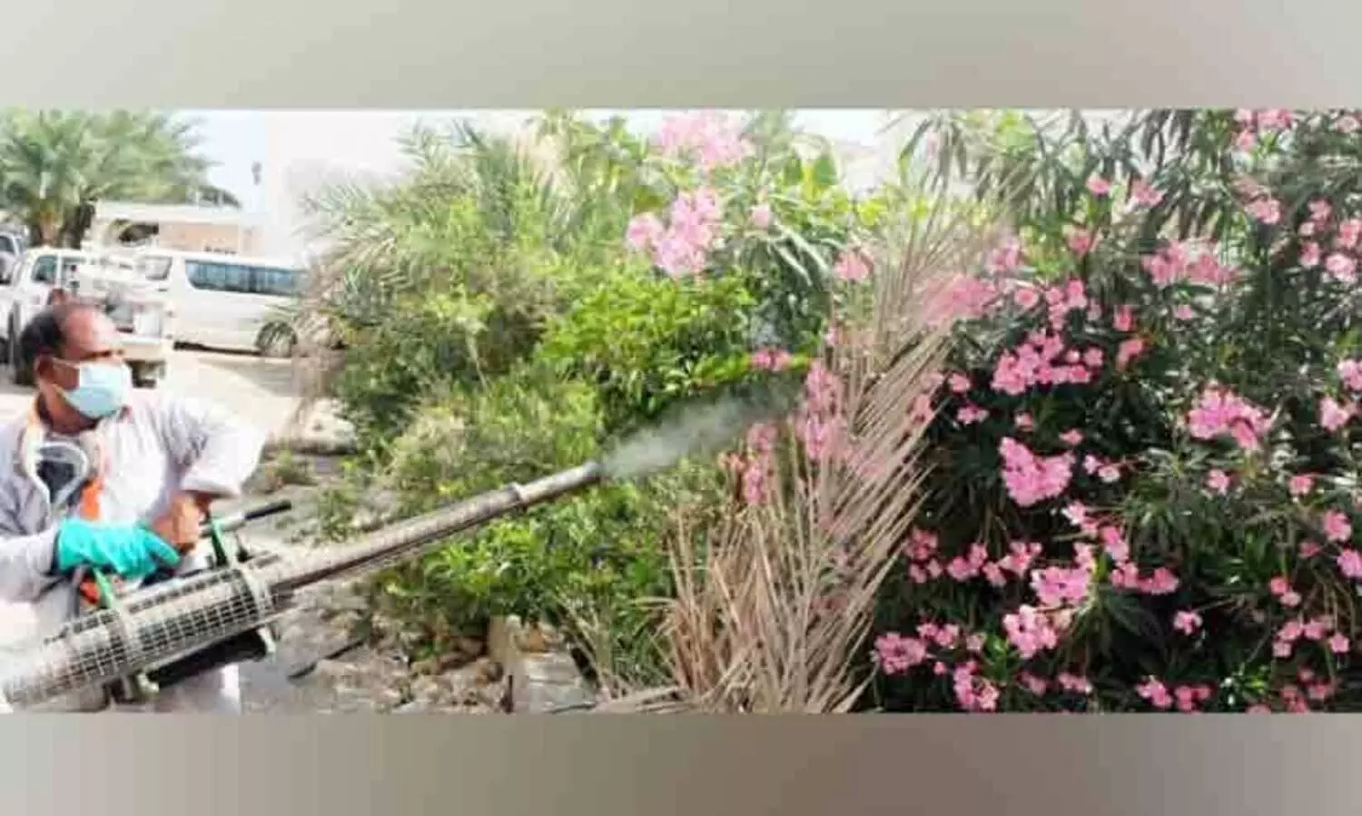 കൊതുകിനെ തുരത്തൽ; കാമ്പയിനുമായി മസ്കത്ത്​ മുനിസിപ്പാലിറ്റി