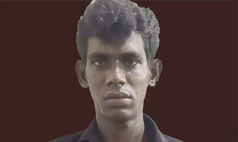 exhibitionism, showing nudity