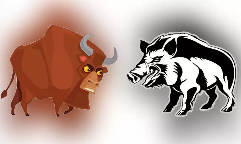 കാട്ടുപോത്ത് മുതൽ കുരങ്ങൻമാർ വരെ; തീരാതെ ദുരിതം കാട്ടുപോത്ത് മുതൽ കുരങ്ങൻമാർ വരെ; തീരാതെ ദുരിതം