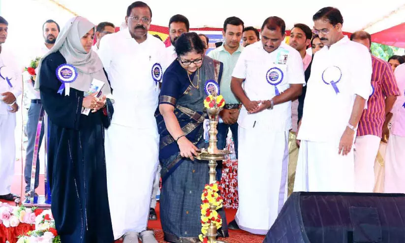 higher education higher education