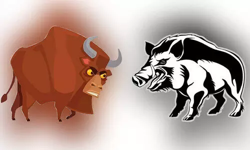 കാട്ടുപോത്ത്​ മുതൽ കുരങ്ങൻമാർ വരെ; തീരാതെ ദുരിതം