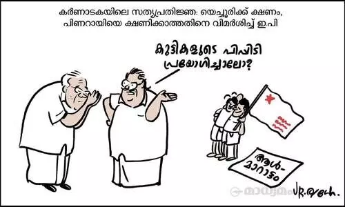 പിപ്പിടി