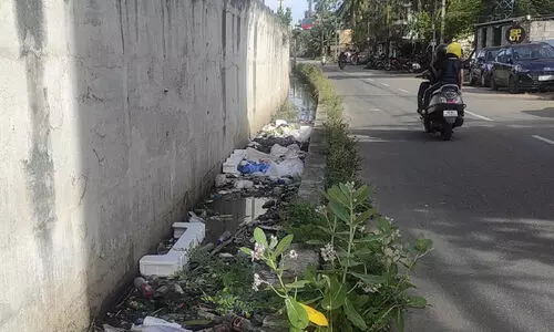 garbage dump garbage dump