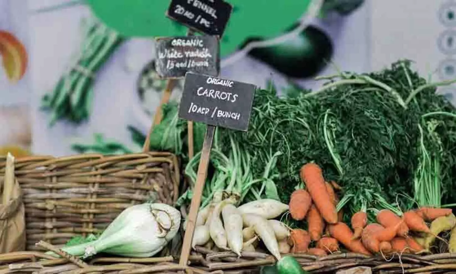 ജൈവ പച്ചക്കറികള്‍ അബൂദബി മാളില്‍