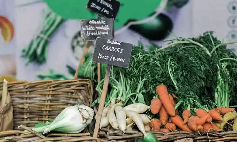 ജൈവ പച്ചക്കറികള്‍ അബൂദബി മാളില്‍