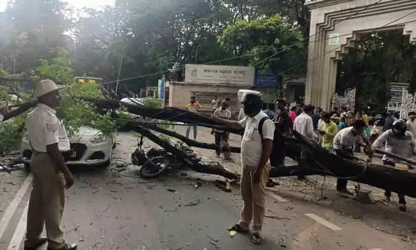22-year-old dies as rains lash Bengaluru CM announces compensation