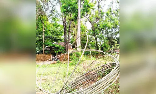 അം​ഗ​ൻ​വാ​ടി​ക്ക് സ​മീ​പം 11 കെ.​വി വൈദ്യുത ലൈൻ പൊട്ടിവീണു