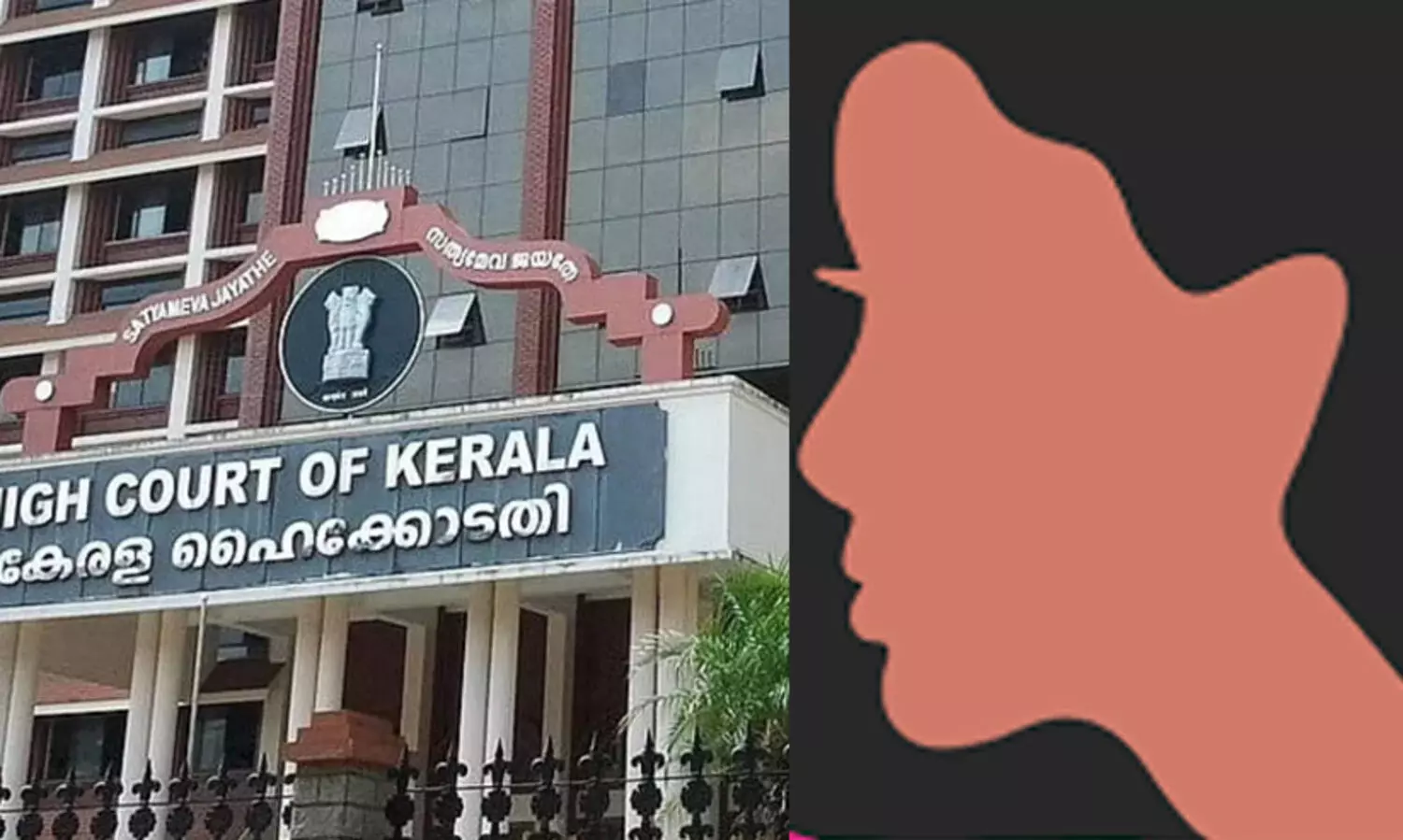 സഹോദരനാൽ ഗർഭിണിയായ പെൺകുട്ടിക്ക് ഗർഭം അലസിപ്പിക്കാൻ ഹൈകോടതി അനുമതി