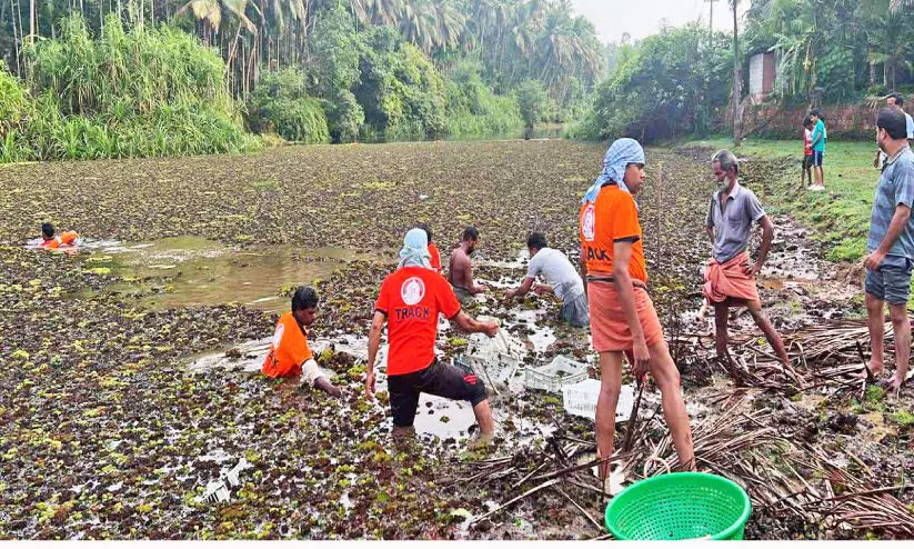 തി​രു​വ​ഞ്ചേ​രി ചി​റ​യി​ലെ  പാ​യ​ൽ നീ​ക്കി