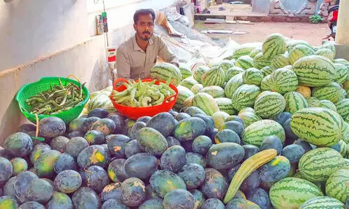 കൃഷിയിലൂടെ ഹരിതഭംഗി നിലനിർത്തി ലാലു പ്രസാദ്