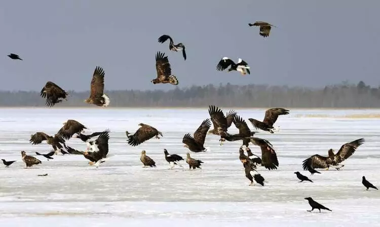nallavakku, madhyamam kudumbam