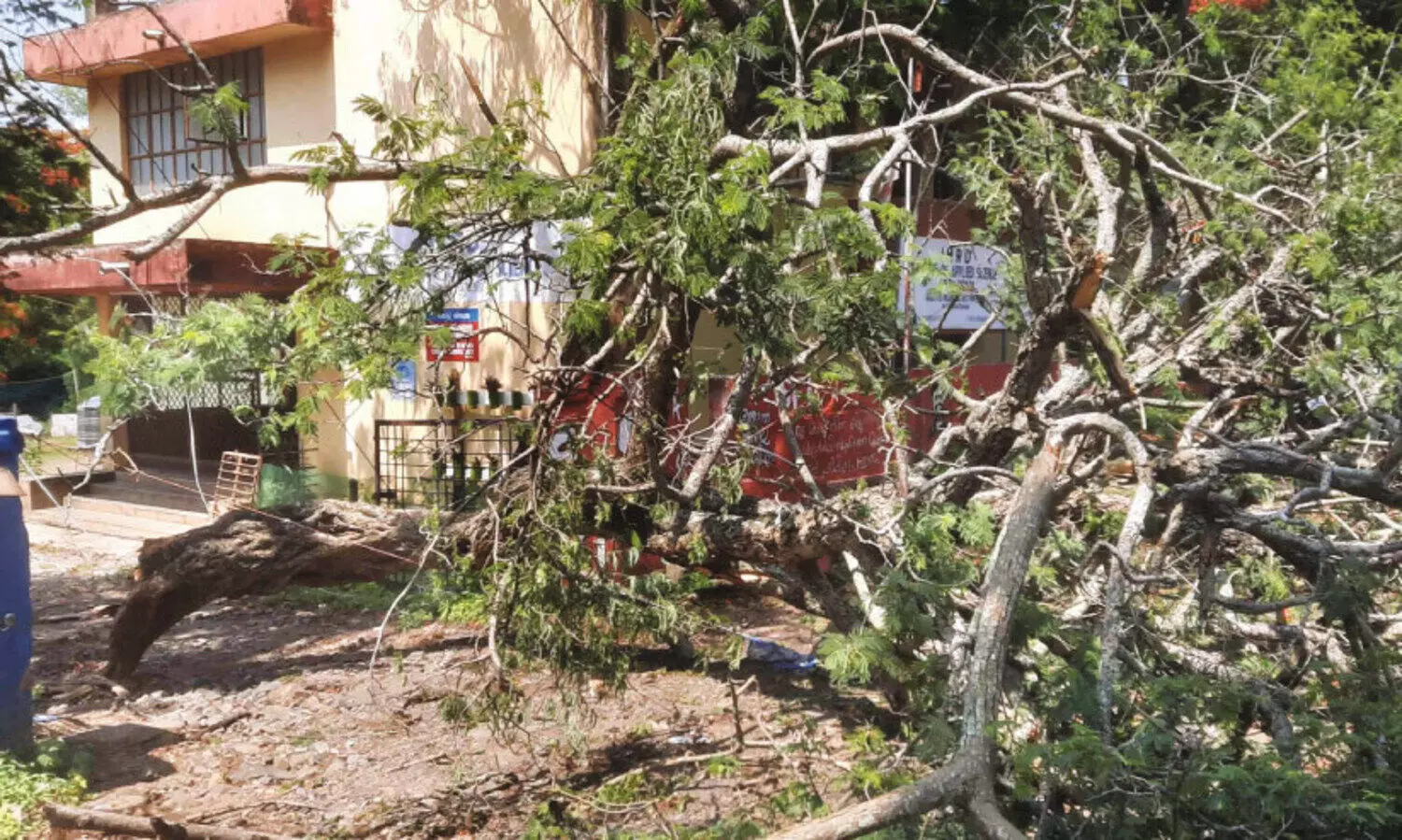 വേ​ന​ൽ മ​ഴ: അ​ട്ട​പ്പാ​ടി​യി​ൽ വൈ​ദ്യു​തി തൂ​ണു​ക​ളും മ​ര​ങ്ങ​ളും ക​ട​പു​ഴ​കി