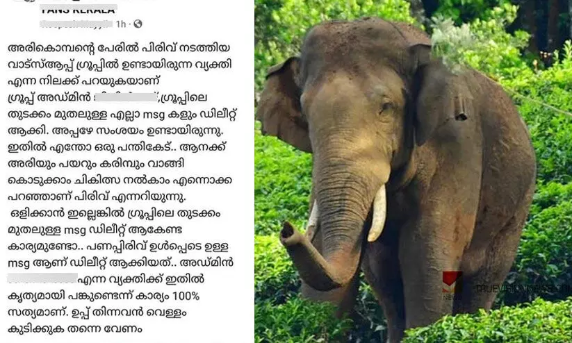 arikkomban 654564a arikkomban 654564a