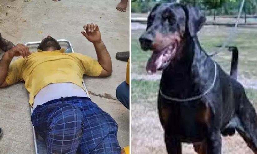 delivery agent delivery agent