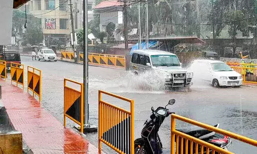 കോന്നിയിൽ കനത്ത മഴ: മരങ്ങൾ കടപുഴകി; വൈദ്യുതി നിലച്ചു