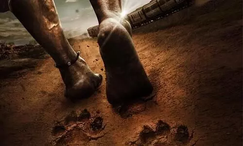 Ravi Teja’s Tiger Nageswara Rao: These five Superstars to unleash the first look