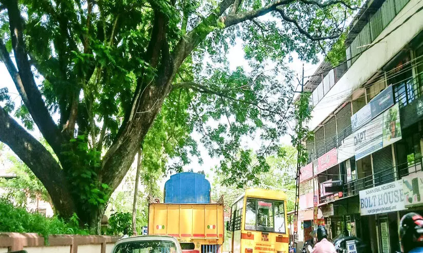 അപകടകരമായ മരങ്ങള്‍ മുറിച്ചുമാറ്റണമെന്ന്