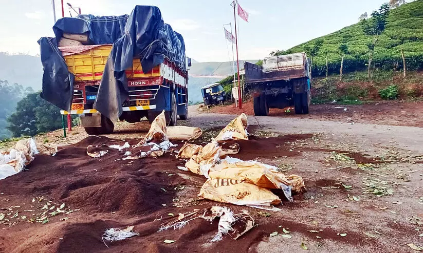 ലോറിക്ക് നേരെ കാട്ടാന ആക്രമണം 20 ചാക്ക് തേയില നശിപ്പിച്ചു ലോറിക്ക് നേരെ കാട്ടാന ആക്രമണം 20 ചാക്ക് തേയില നശിപ്പിച്ചു
