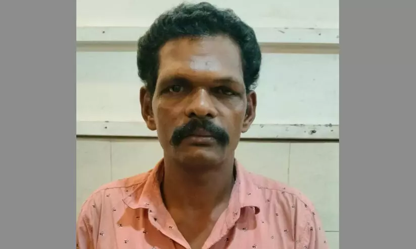 arrest Pala arrest Pala