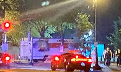 Teen crashes into White House barriers