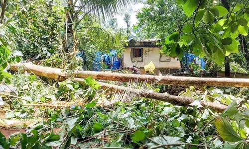 മഴ, കാറ്റ്​: മുണ്ടക്കയത്ത്​ വ്യാപക നാശം