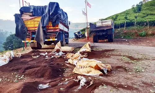 ലോറിക്ക് നേരെ കാട്ടാന ആക്രമണം 20 ചാക്ക് തേയില നശിപ്പിച്ചു