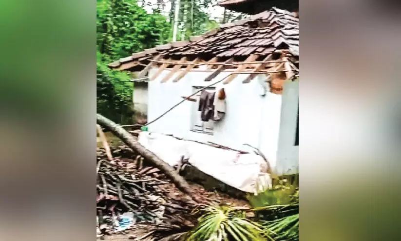 കാറ്റിൽ മരങ്ങൾ വീണ് നാശം