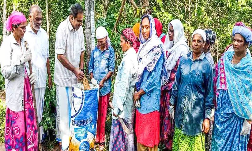 സമ്പൂര്‍ണ മാലിന്യ മുക്ത പദവിയിലേക്ക് ചുവടുവെച്ച് ആമ്പല്ലൂര്‍ പഞ്ചായത്ത്
