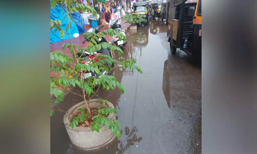 waterlogging waterlogging