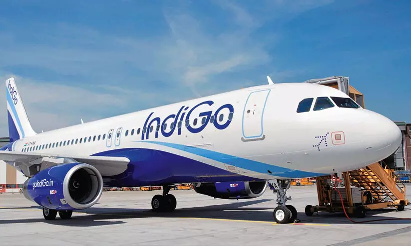 indigo flight indigo flight