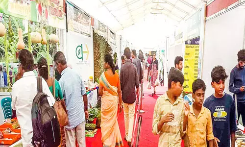 ‘കരപ്പുറം കാഴ്ചകൾ’ ശ്രദ്ധേയമാകുന്നു