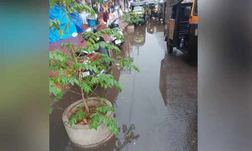 waterlogging waterlogging