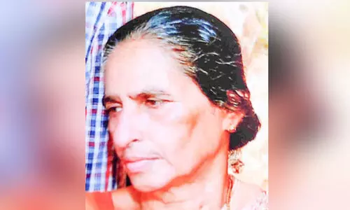 ഒടുവിലായി എൽസിക്കുട്ടി പറഞ്ഞു; ഏതോ വന്യമൃഗം പുരയിടത്തിലുണ്ട്